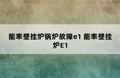 能率壁挂炉锅炉故障e1 能率壁挂炉E1